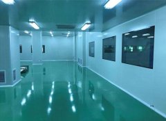 影響凈化車(chē)間的工程因素及布置要求